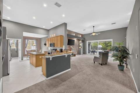 13311 Graham Yarden Drive, Riverview FL - photo 11 of 98