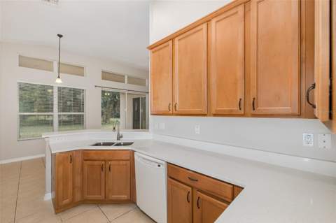 5815 Justicia Loop, Land O Lakes FL - photo 16 of 56