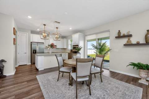 12908 Brookside Moss Drive, Riverview FL - photo 8 of 54