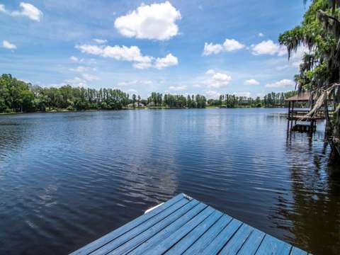 219 Willow Bend Parkway, home for sale in Lutz 33549