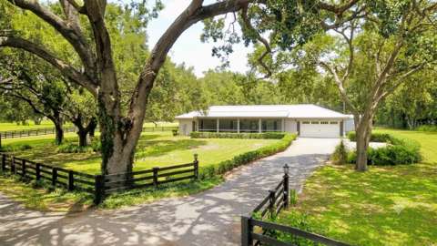 16945 W Phil C Peters Road, luxury home for sale in Winter Garden