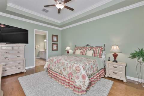 16955 Scuba Crest Street, Wimauma FL - photo 20 of 59
