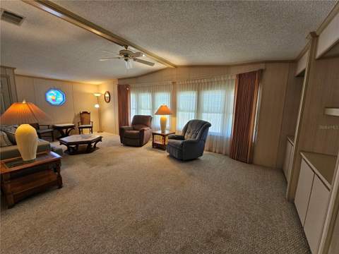 101 Dolphin Drive, Oldsmar FL - photo 12 of 34