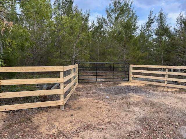 4 bedroom Single Family Residence at 9940 Black Bear Lane, Acreage & Unrec, Winter Garden — photo 5