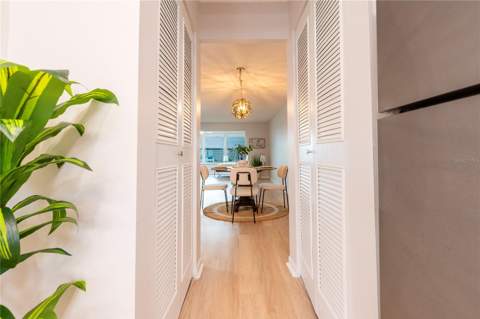 5925 Shore Boulevard #405, Gulfport FL - photo 20 of 65