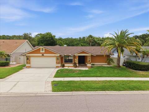 11803 Sweetpea Court, home for sale in Tampa 33635