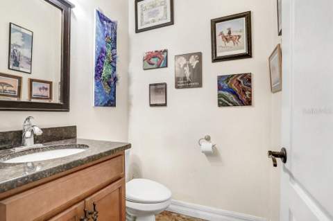 15723 Starling Water Drive, Lithia FL - photo 22 of 39