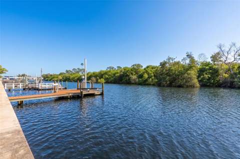 6825 Mount Orange Drive #390, St Petersburg FL - photo 16 of 76