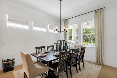 17418 Honeybell Tangelo Court, Winter Garden FL - photo 7 of 50