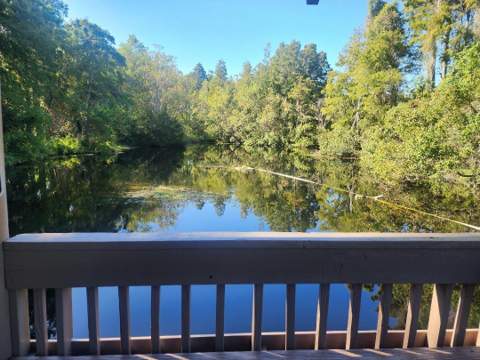 603 Baldwin Avenue #B, Safety Harbor FL - photo 20 of 32