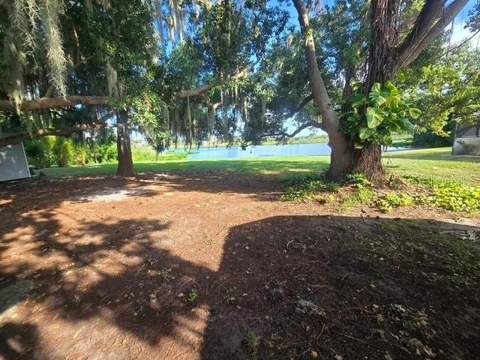 14322 Lake Junietta Drive, Tavares FL - photo 6 of 6