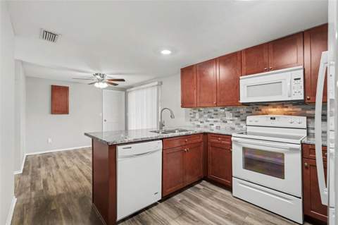 6404 Freedom Court, Tampa FL - photo 6 of 6