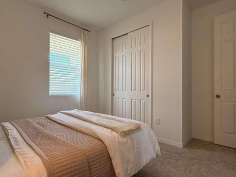 3081 Ambersweet Place, Clermont FL - photo 8 of 35