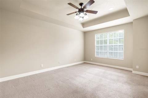 14543 Mirabelle Vista Circle, Tampa FL - photo 20 of 52