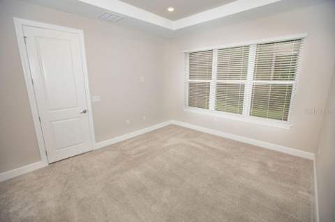 4605 Rosatti Road, Wesley Chapel FL - photo 15 of 38