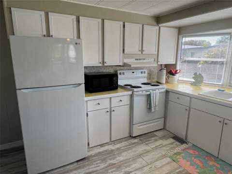 103 Pindo Palm Street, Largo FL - photo 17 of 28