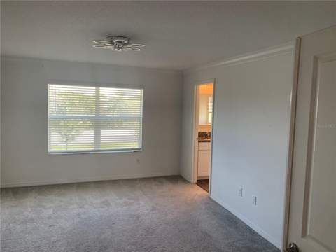 6930 Ripple Pond Loop, Zephyrhills FL - photo 19 of 29