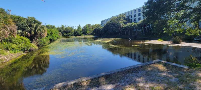 3 bedroom Condominium at 701 S Madison Avenue #316, Lakeside Crossing Condo, Clearwater — photo 2
