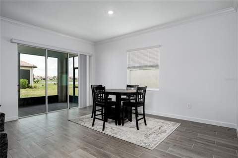 17439 Holly Well Avenue, Wimauma FL - photo 9 of 26