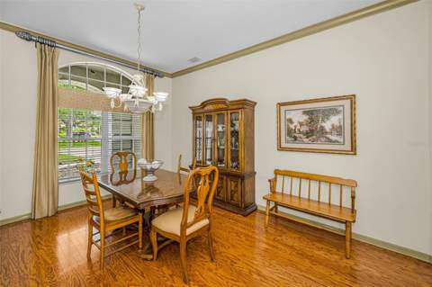 4084 Ligustrum Drive, Palm Harbor FL - photo 6 of 6