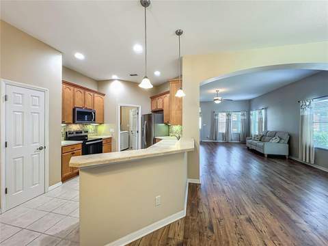 3605 Mount Hope Loop, Leesburg FL - photo 18 of 59