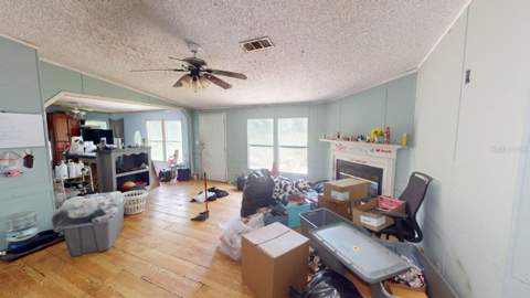 30501 Clearview Drive, Wesley Chapel FL - photo 23 of 29