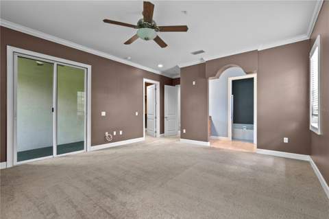 11504 Bellamar Street, Tampa FL - photo 21 of 40