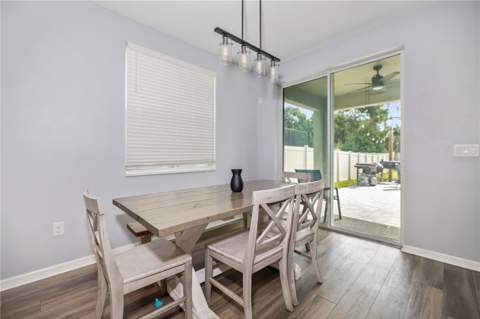 16720 Mooner Plank Circle, Wimauma FL - photo 12 of 31