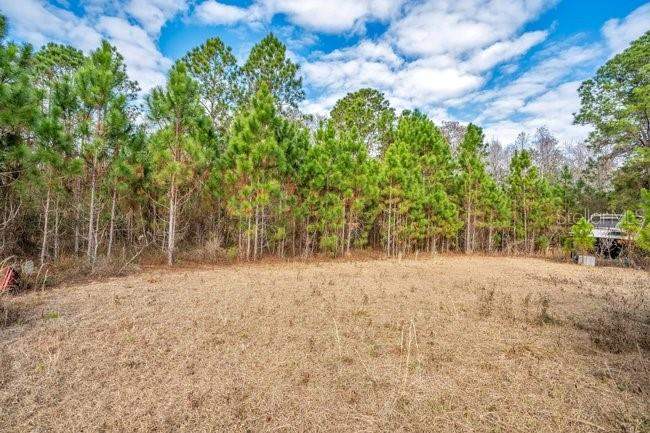 3 bedroom Single Family Residence at 11535 MATTIODA ROAD, ACREAGE & UNREC, GROVELAND — photo 4