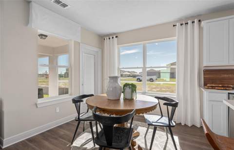 2644 Clear Night Avenue Drive, Kissimmee FL - photo 10 of 35