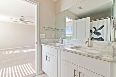 4410 Summer Savory Street, Tampa FL - photo 23 of 64