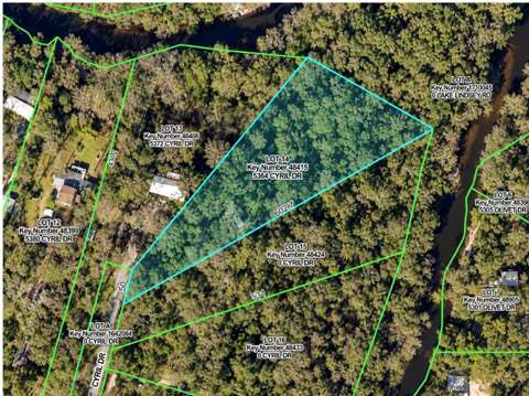 5364 Cyril Drive, home for sale in Dade City 33523