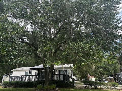 14104 253Rd Avenue Road #398, home for sale in Fort Mc Coy 32134