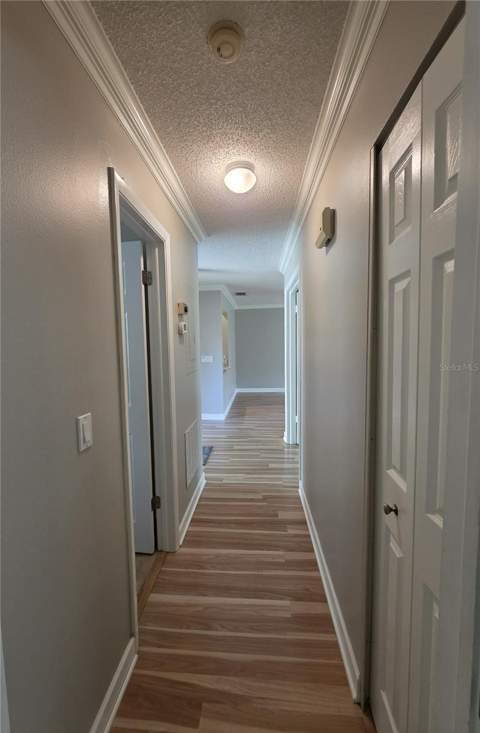 4045 Bluff Oak Court, Palm Harbor FL - photo 22 of 29