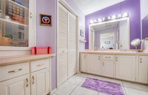 258 Pelican Drive, Oldsmar FL - photo 18 of 51