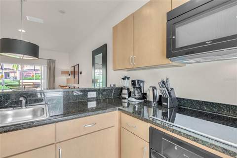 3020 Bird Of Paradise Lane, Kissimmee FL - photo 12 of 23