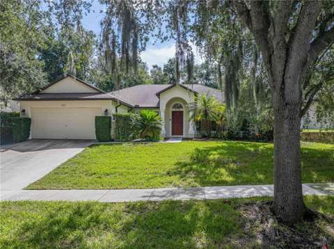 8834 Alafia Cove Drive, home for sale in Riverview 33569