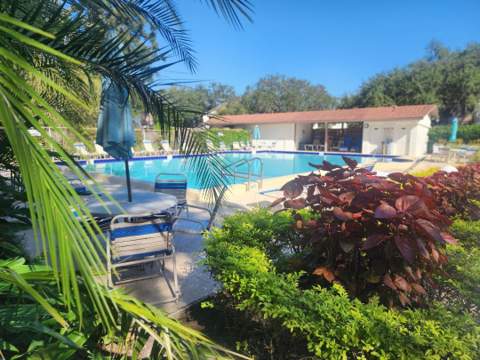 603 Baldwin Avenue #B, Safety Harbor FL - photo 17 of 32