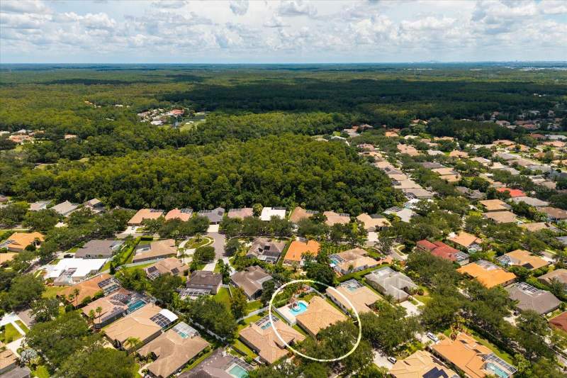 4 bedroom Single Family Residence at 1723 Captiva Drive, Cross Pointe, Oldsmar — photo 4
