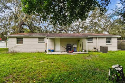 10101 N 11th Street, Tampa FL - photo 9 of 13