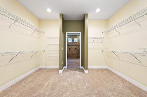 2522 Tree Meadow Loop, Apopka FL - photo 18 of 44