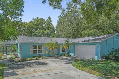22002 Darley Place, home for sale in Land O' Lakes 34639