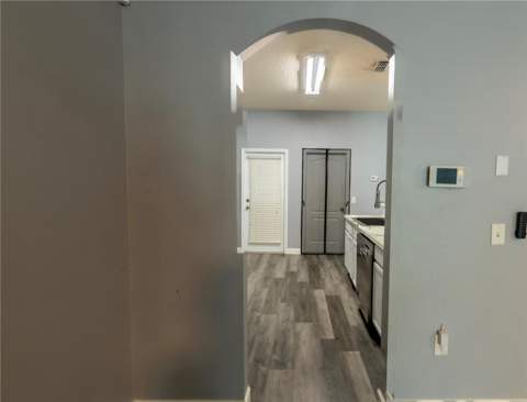 2431 Grasmere View Parkway, Kissimmee FL - photo 16 of 43