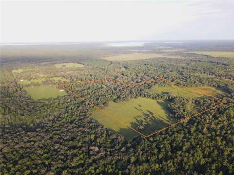 11816 SE County Road 234, home for sale in Micanopy 32667