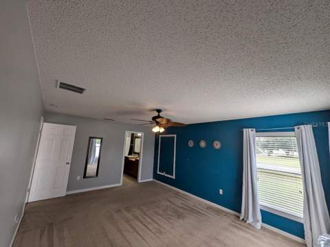436 Bloomfield Drive, Kissimmee FL - photo 18 of 39