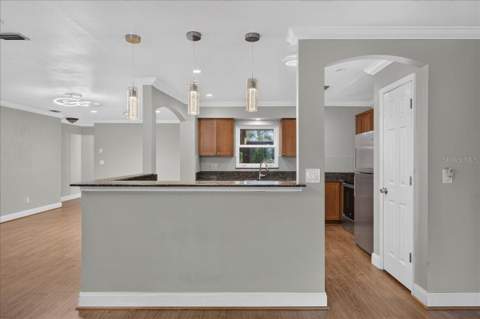 1221 E Lime Street, Tarpon Springs FL - photo 9 of 50