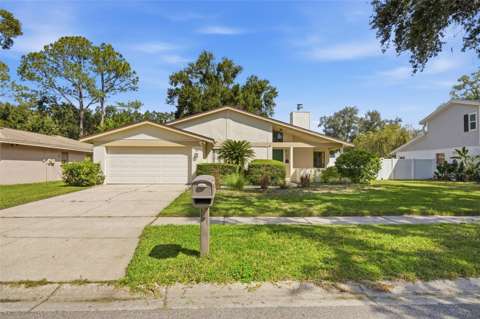 4609 Deerwalk Avenue, home for sale in Tampa 33624
