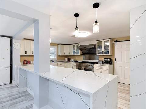 3516 Floramar Terrace, New Port Richey FL - photo 22 of 89