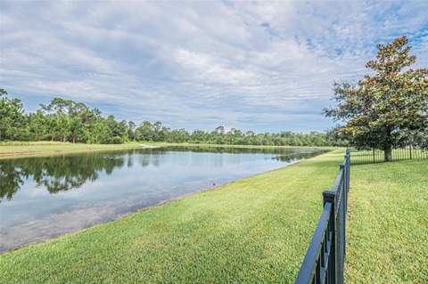 10174 Lovegrass Lane, Orlando FL - photo 6 of 61