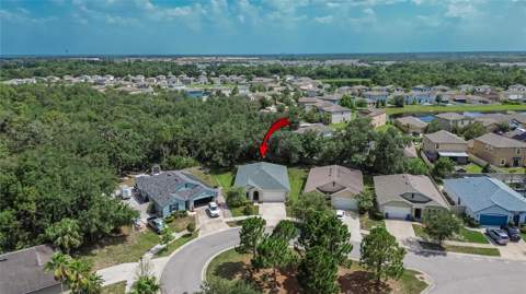 16441 Treasure Point Drive, Wimauma FL - photo 8 of 64